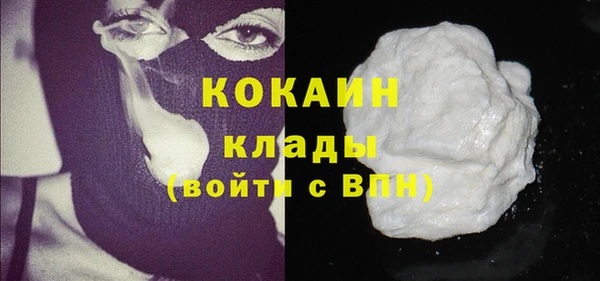 индика Бронницы
