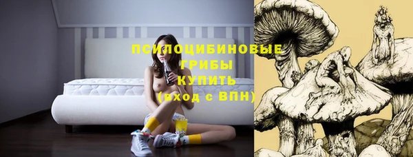 2c-b Бугульма