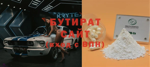 индика Бронницы
