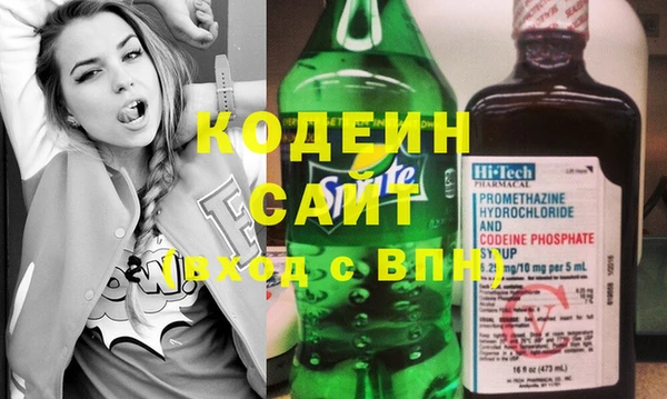 индика Бронницы