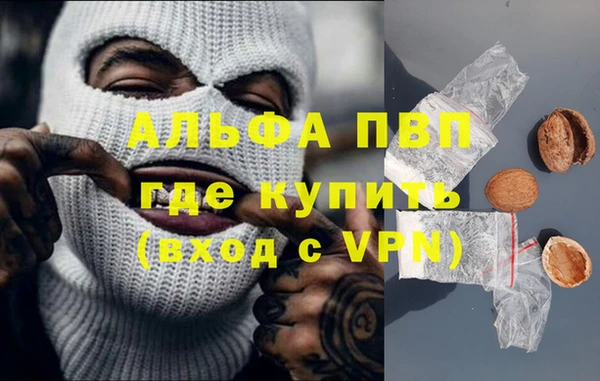 индика Бронницы