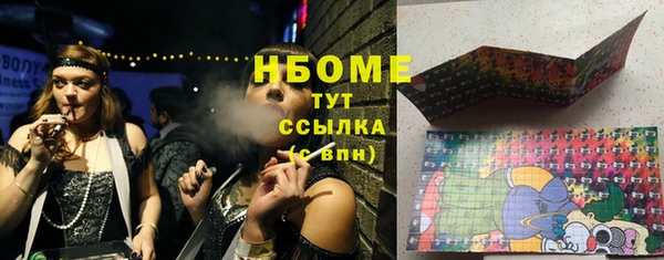 индика Бронницы