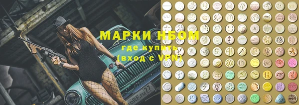 индика Бронницы