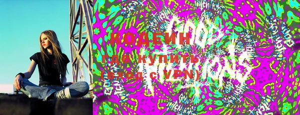 индика Бронницы