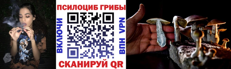 omg tor  Ярцево  Галлюциногенные грибы прущие грибы 